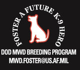 Long Sleeve T-shirt (additional colors available)