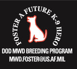 Women's Short Sleeve V-Neck (additional colors available)